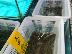 -崖口红树林海鲜餐厅