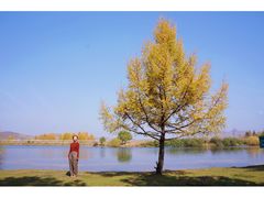 -塞罕坝国家级自然保护区