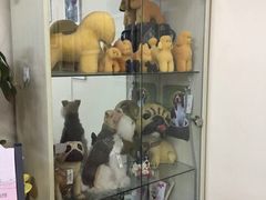 我爱吾宠宠物美容院-我爱吾宠宠物美容院(朝阳路店)