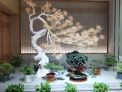 -春茗熙