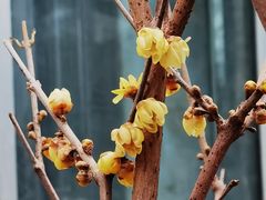 -国家植物园南园