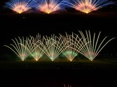 -南宁花花大世界景区