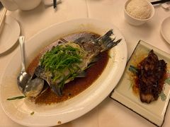 清蒸鲫鱼-顺德新世界酒店·华美轩餐厅