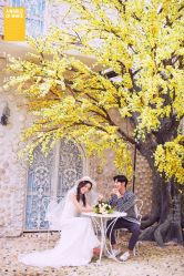 点击看大图 -太古映画婚纱摄影(天河店)