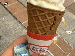 -富豪雪糕车流动点(尖沙咀)