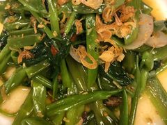 飞天空心菜-苏梅花园(群星城店)