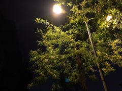 -北京大学百年讲堂