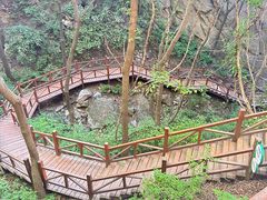 -大岭沟猕猴桃谷风景区