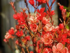 -春晖园度假酒店温泉