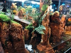 -厦门泰谷酒店(中山路镇海路地铁站店)