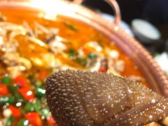 -沪小二炭火蛙锅(淮海中路美食不夜城店)