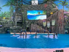 -珠海长隆海洋王国