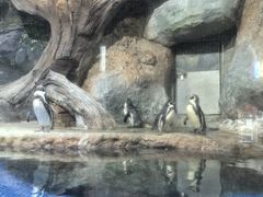 -福州罗源湾海洋世界旅游区