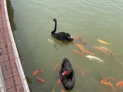 -春晖园度假酒店温泉