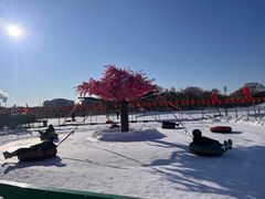 -北陵公园