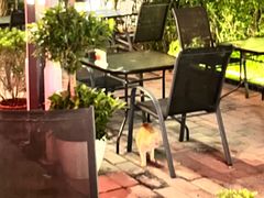 景观位-土耳其妈妈