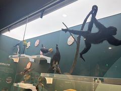 -国家自然博物馆