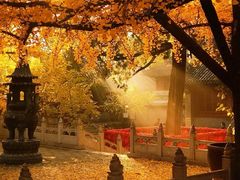 -红螺寺