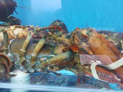 -港畔赶海蒸汽海鲜烧烤自助(仙螺岛店)