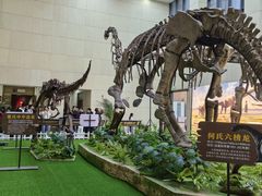 -广西壮族自治区博物馆