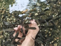 -融汇温泉