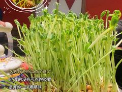 -火鳳祥美蛙牛肉自助(青悦城店)