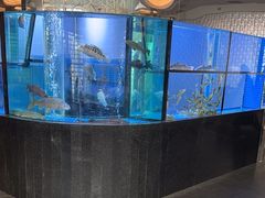 -王家渡火锅店(棕榈泉店)