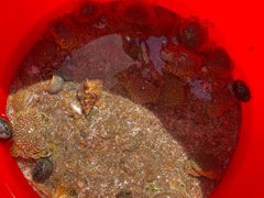 -嵊泗基湖沙滩