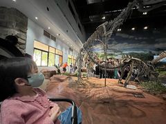 -自贡恐龙博物馆