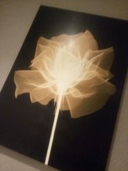 -DR REBORN美容·养发·身体