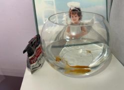 -米粒儿童摄影(观音桥店)