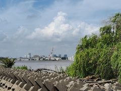 -上海滨江森林公园