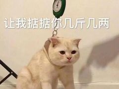 -布歌东京(德基BHG店)