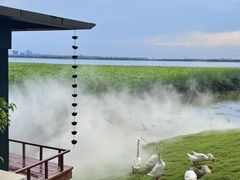 -阳澄湖半岛旅游度假区