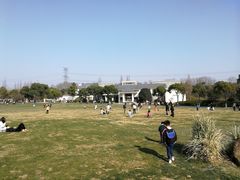 -昆山城市生态森林公园