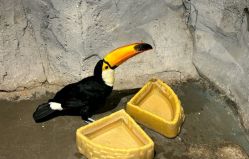 -Zoolung Zoolung动物主题公园(海信广场店)