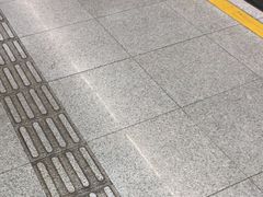 -杨高南路(地铁站)