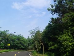 -宝界山林公园