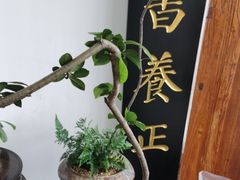 -道南書院·私房菜·早午茶·茶馆