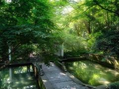 -宋宴(虎跑店)