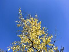 -莆田南少林寺