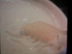 android_upload_pic-奶酪魏(牛街总店)