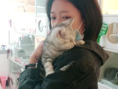 -lincat·猫舍(广州店)