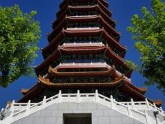 -金城公园