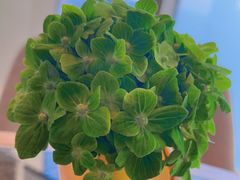 -UNIUNI(凯瑟琳广场店)