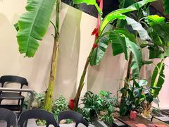 -单家老院·院子里的青岛菜(沙子口店)