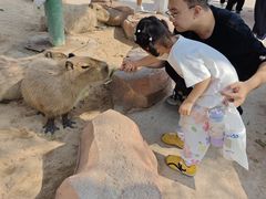 -泉城欧乐堡梦幻世界