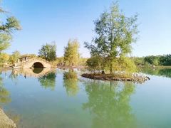 -金塔沙漠胡杨林景区