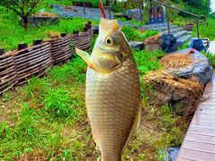 -蓝天路(地铁站)