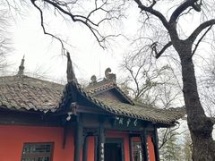 -白帝城·瞿塘峡景区